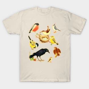 Vintage Styled Birds Illustration Design T-Shirt